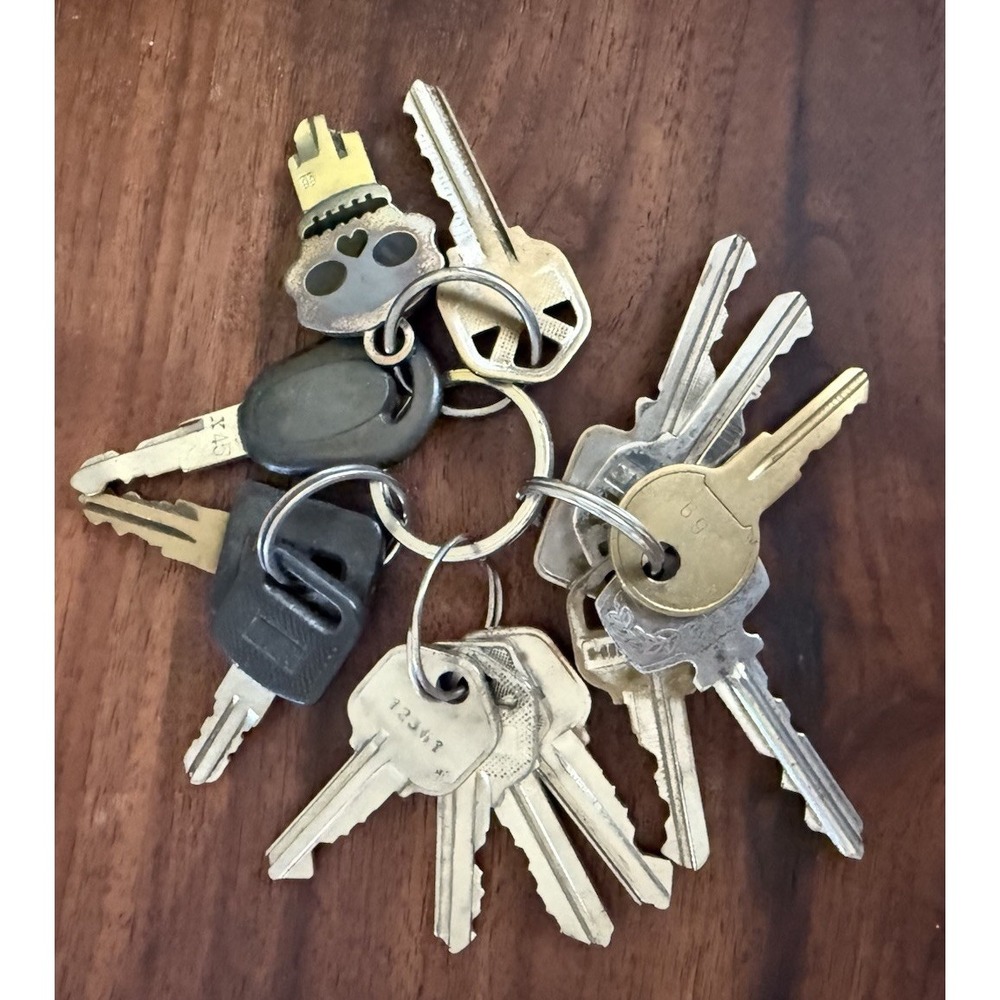 Lot of 14 Assorted Cut‎ Keys - Old Skull Keyring